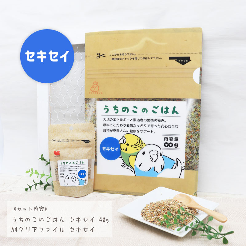 うちのこのごはん40g＆クリアファイル ◆ゆうパケット対応◆ オカメ セキセイ 文鳥 インコ A4 シード 【ことりすまいる】