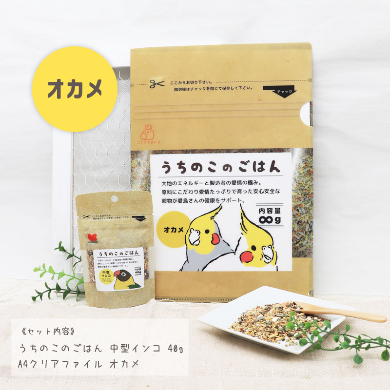 うちのこのごはん40g＆クリアファイル ◆ゆうパケット対応◆ オカメ セキセイ 文鳥 インコ A4 シード 【ことりすまいる】