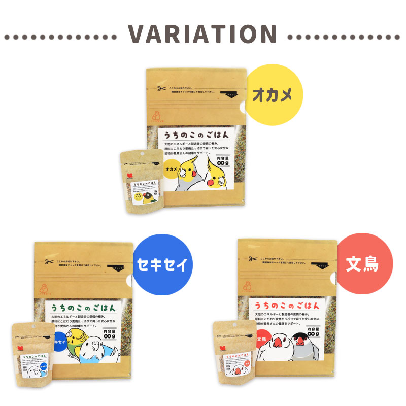 うちのこのごはん40g＆クリアファイル ◆ゆうパケット対応◆ オカメ セキセイ 文鳥 インコ A4 シード 【ことりすまいる】
