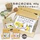 うちのこのごはん40g＆クリアファイル ◆ゆうパケット対応◆ オカメ セキセイ 文鳥 インコ A4 シード 【ことりすまいる】