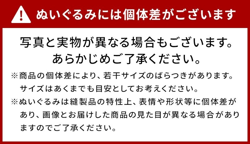 オカメインコ　ルチノー　ぬいぐるみ　★1羽　【ことりすまいる】