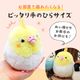 オカメインコ　ルチノー　ぬいぐるみ　★1羽　【ことりすまいる】