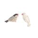 ピアス ★おしゃべり文鳥　◆ゆうパケット対応◆ 【ブラフシューペリア】