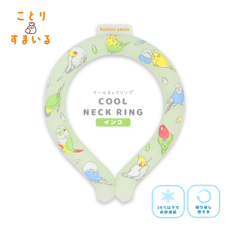 �ڤ��Ȥꤹ�ޤ���� ������ͥå���󥰡������� ����