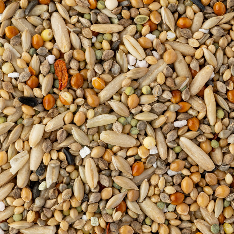 �ڤ��Ȥꤹ�ޤ���ۡڹ����ڥåȥա��ɡ� �����Τ��Τ��Ϥ� ������������������ ��40g�ա����椦�ѥ��å��б��� Ļ �ա��� �� ���Ϥ� �ӥ��ߥ� �翩