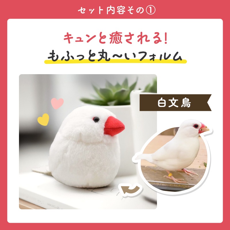 եȥå ̤&Хå&ޥեС  ޥʥ ̤  Хå ץ쥼