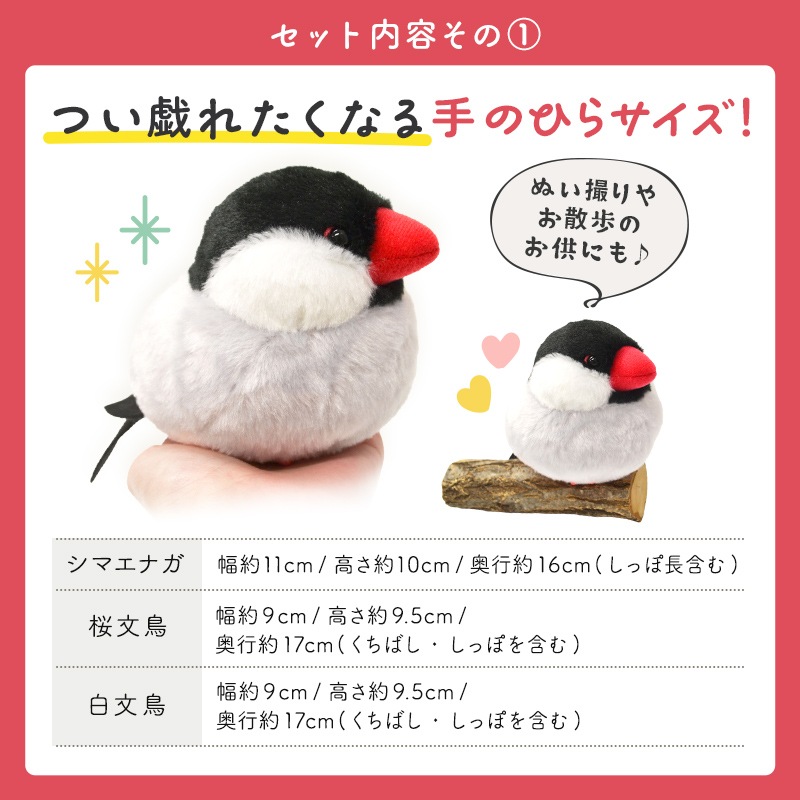 եȥå ̤&Хå&ޥեС  ޥʥ ̤  Хå ץ쥼