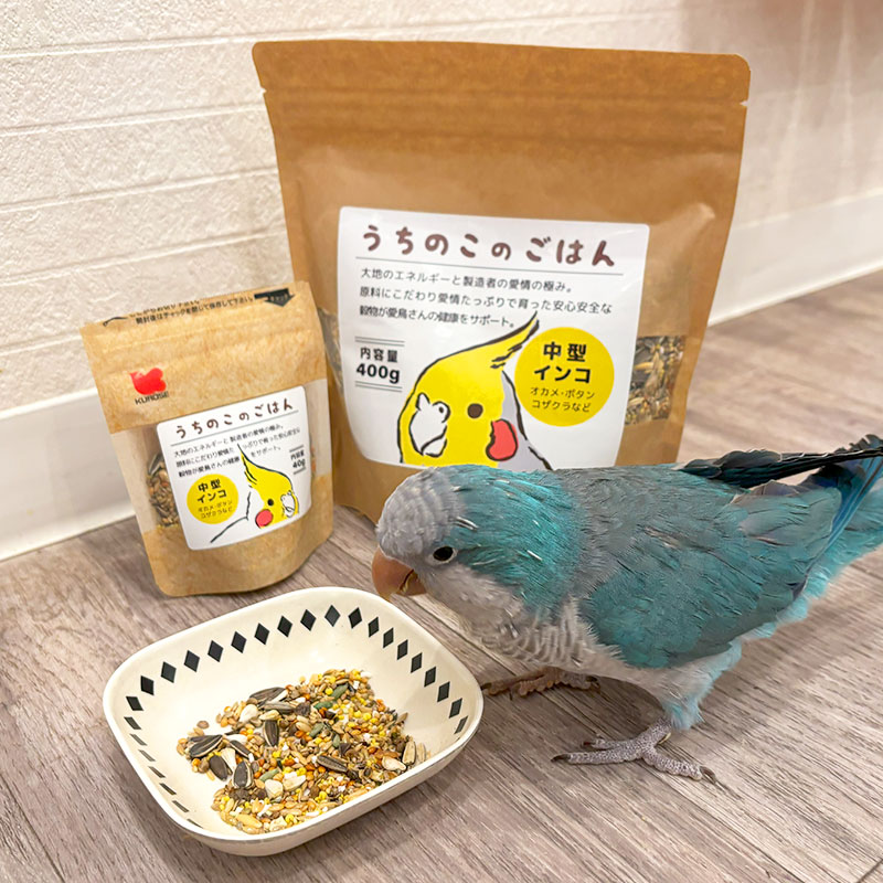 �ڤ��Ȥꤹ�ޤ���ۡڹ����ڥåȥա��ɡ� �����Τ��Τ��Ϥ� ���淿�������� ��400g�ա����� Ļ �ա��� �� ���Ϥ� �ӥ��ߥ� �翩