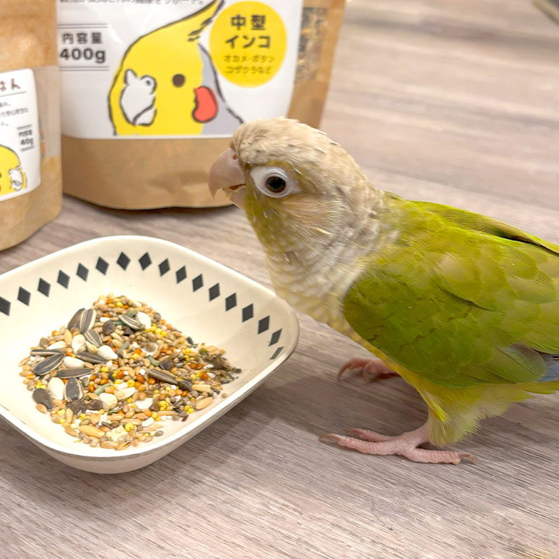 �ڤ��Ȥꤹ�ޤ���ۡڹ����ڥåȥա��ɡ� �����Τ��Τ��Ϥ� ���淿�������� ��400g�ա����� Ļ �ա��� �� ���Ϥ� �ӥ��ߥ� �翩