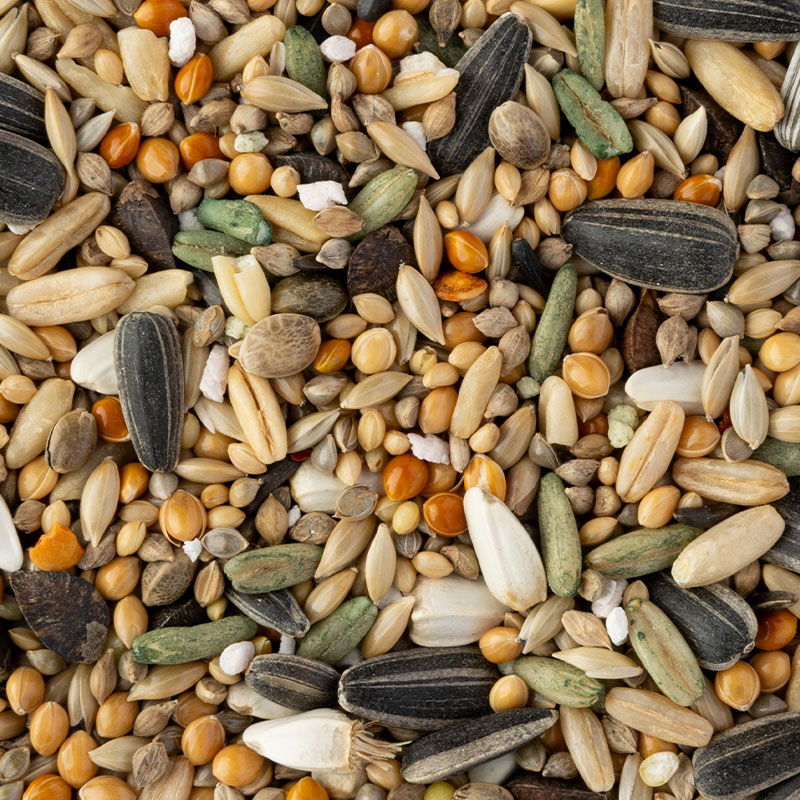 �ڤ��Ȥꤹ�ޤ���ۡڹ����ڥåȥա��ɡ� �����Τ��Τ��Ϥ� ���淿�������� ��400g�ա����� Ļ �ա��� �� ���Ϥ� �ӥ��ߥ� �翩