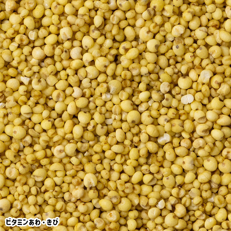 �ڤ��Ȥꤹ�ޤ���ۡڹ����ڥåȥա��ɡ� �����Τ��Τ��Ϥ� ���淿�������� ��400g�ա����� Ļ �ա��� �� ���Ϥ� �ӥ��ߥ� �翩