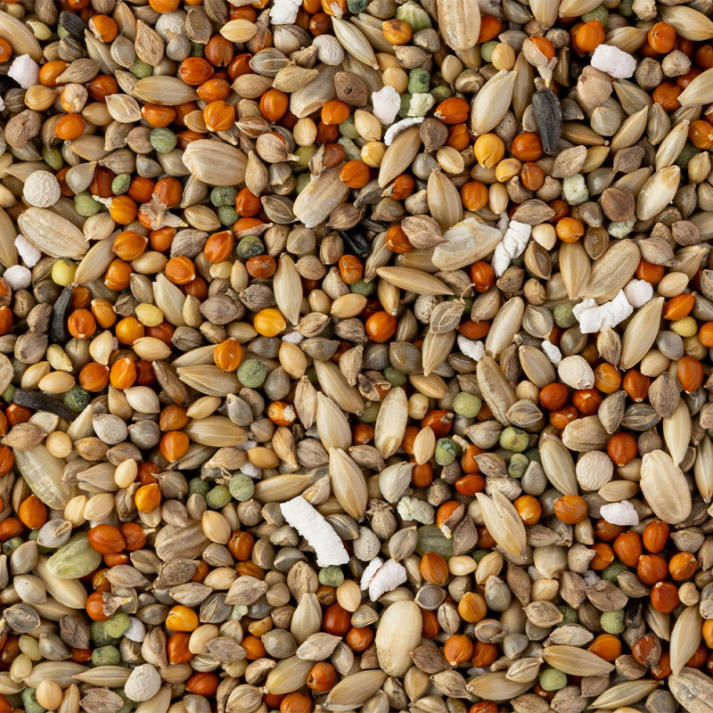 �ڤ��Ȥꤹ�ޤ���ۡڹ����ڥåȥա��ɡ� �����Τ��Τ��Ϥ� ��ʸĻ���� ��40g�ա����椦�ѥ��å��б��� Ļ �ա��� �� ���Ϥ� �ӥ��ߥ� �翩