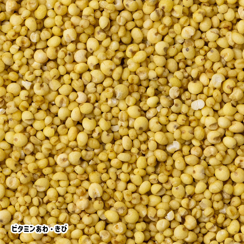 �ڤ��Ȥꤹ�ޤ���ۡڹ����ڥåȥա��ɡ� �����Τ��Τ��Ϥ� ��ʸĻ���� ��40g�ա����椦�ѥ��å��б��� Ļ �ա��� �� ���Ϥ� �ӥ��ߥ� �翩