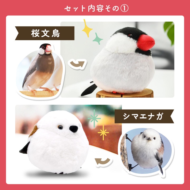 եȥå ̤&Хå&ޥեС  ʸĻ ̤  Хå ץ쥼