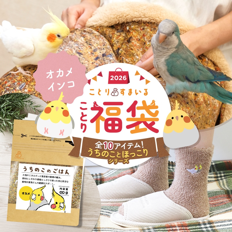 数量限定／ことり福袋2026☆うちのことほっこりシリーズ オカメインコ
