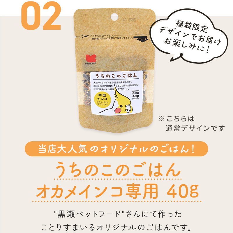 �����̸��꡿���Ȥ�ʡ��2026�������Τ��Ȥۤä��ꥷ�꡼�� �����ᥤ�� ��10�����åȡ���Ļ���å� ��Ļ���� ���� ʡ�� �ϥåԡ��Хå� �ϥåԡ��ѥå� �ߤ�ʡ�� �ץ쥼��� ���ե� ������ ������� 2025ǯ ʡ�� 2026ǯ �ߵ�