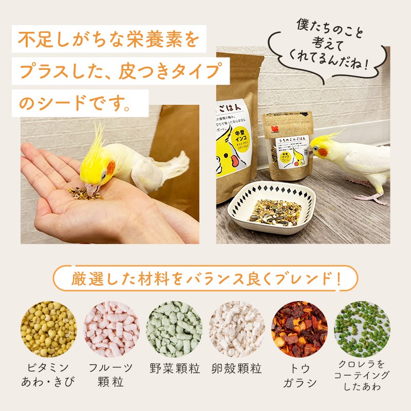 �����̸��꡿���Ȥ�ʡ��2026�������Τ��Ȥۤä��ꥷ�꡼�� �����ᥤ�� ��10�����åȡ���Ļ���å� ��Ļ���� ���� ʡ�� �ϥåԡ��Хå� �ϥåԡ��ѥå� �ߤ�ʡ�� �ץ쥼��� ���ե� ������ ������� 2025ǯ ʡ�� 2026ǯ �ߵ�