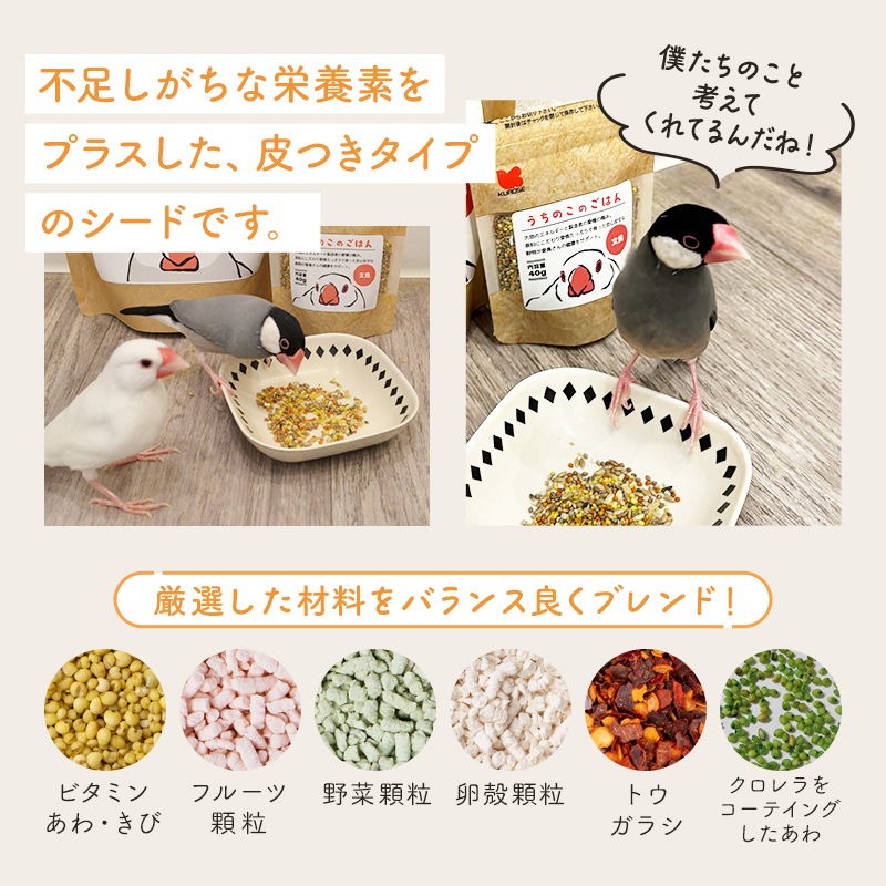 �����̸��꡿���Ȥ�ʡ��2026�������Τ��Ȥۤä��ꥷ�꡼�� ʸĻ ��10�����åȡ���Ļ���å� ��Ļ���� ���� ʡ�� �ϥåԡ��Хå� �ϥåԡ��ѥå� �ߤ�ʡ�� �ץ쥼��� ���ե� ������ ������� 2025ǯ ʡ�� 2026ǯ �ߵ�