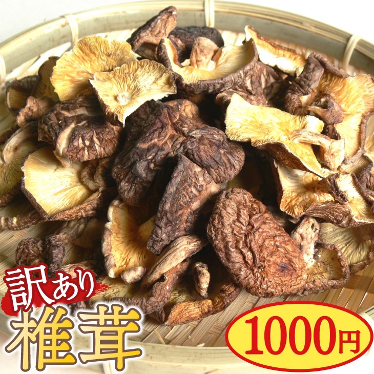 【送料無料】1,000円ポッキリ おためし 国産 干し椎茸 小葉80g（無農薬 原木栽培品）訳アリ 特価 数量限定商品！