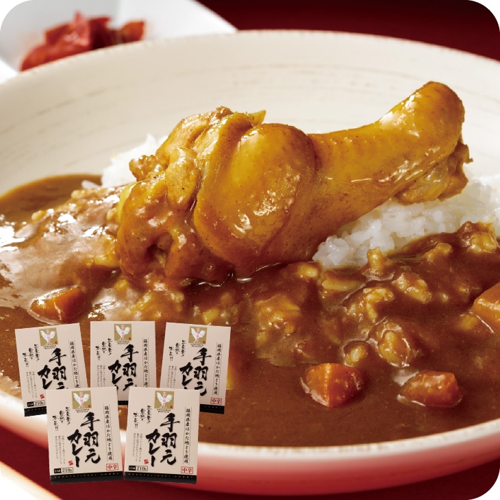 産地直送【博多地とり　手羽元カレー(210ｇ×5個)】九州お取り寄せ　九州産　 博多地とり　地鶏　ご当地カレー　チキンカレー　レトルト　送料無料