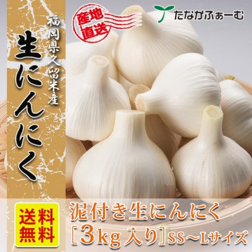 【送料無料】【6月上旬順次発送】 生にんにく 3kg(SS〜Lサイズ)獲れたてを産地直送 国産 にんにく 福岡