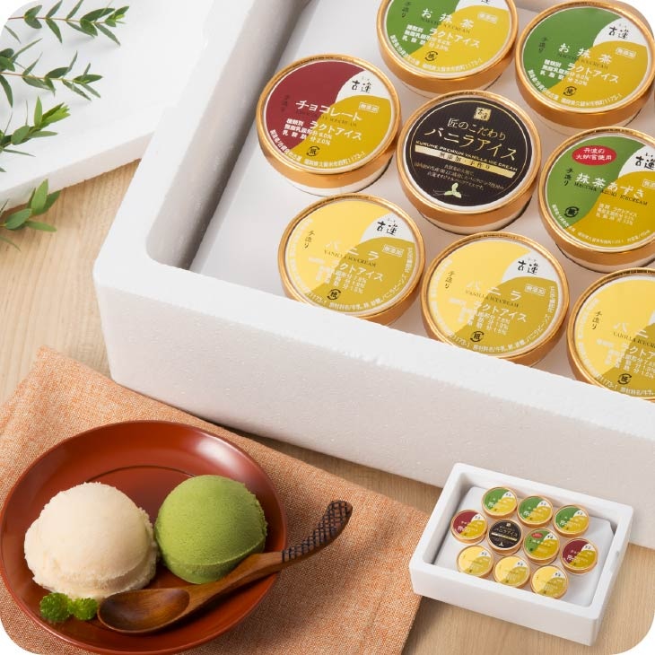 産地直送 【古蓮 アイスクリーム ギフトセットA アイス10個】【北海道、沖縄・離島は別途遠方料金がかかります】 九州 お取り寄せ 無添加 送料込み