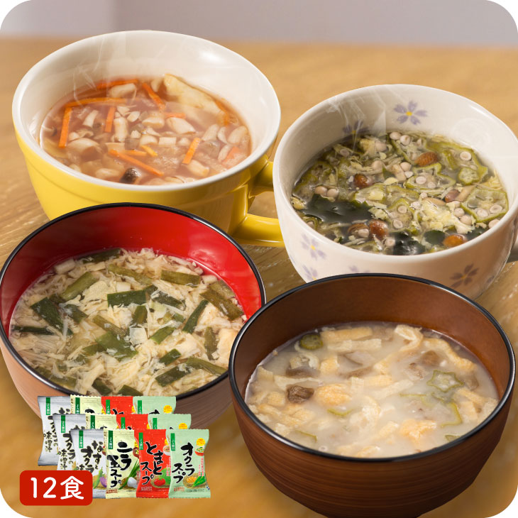 JA柳川 おいしい野菜たっぷりスープ・味噌汁 12個セット