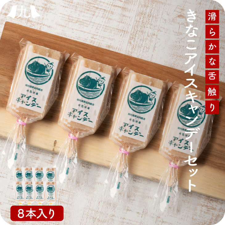 産地直送 【柳川育ちのきなこアイスキャンデー 8本】 九州 お取り寄せ 贈り物 ギフト 中元 歳暮 無香料 無着色 無添加 アイスバー 冷凍 送料無料