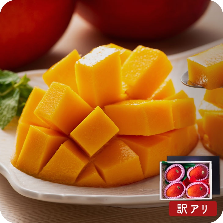 産地直送 【7月上旬から順次発送 訳アリマンゴー 約1.5kg（3玉～6玉）】 九州 お取り寄せ 熊本 ご家庭用 箱入り フルーツ 果物 送料無料