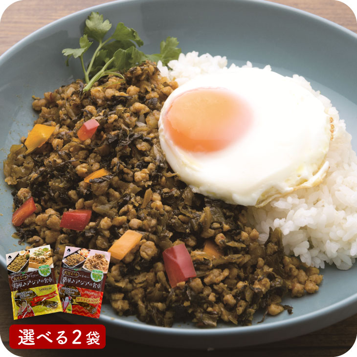 産地直送 「アジア風大豆ミートと切り干し大根サラダ 選べる2種」 九州 お取り寄せ 惣菜 健康 美容 大豆ミート タコライス キーマ ガパオ お弁当 お得 お試し 送料無料