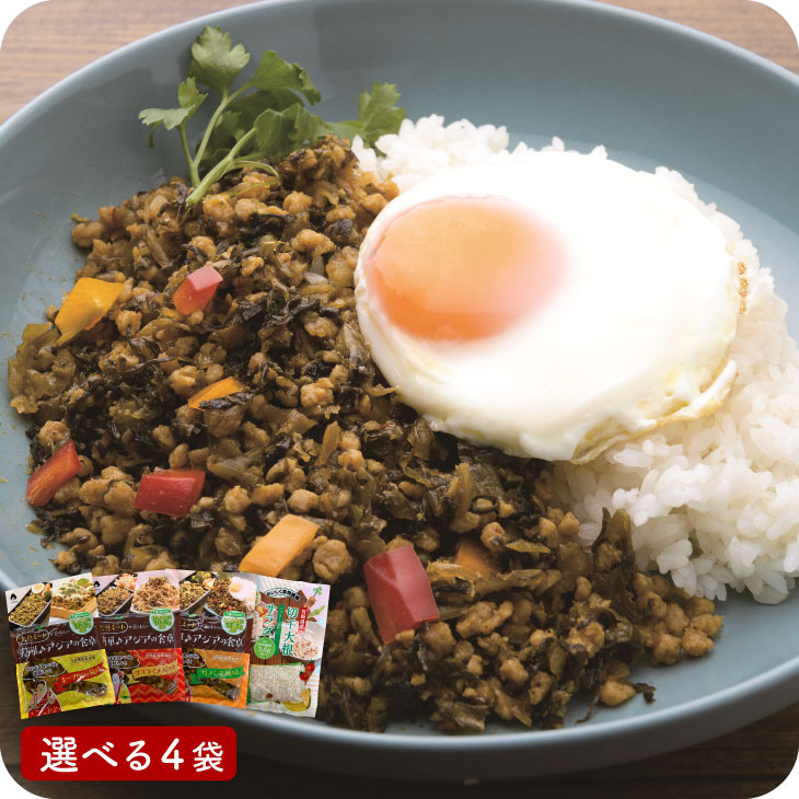 産地直送 「アジア風大豆ミートと切り干し大根サラダ 選べる4種」 九州 お取り寄せ 惣菜 健康 美容 大豆ミート タコライス キーマ ガパオ お弁当 お得 お試し 送料無料
