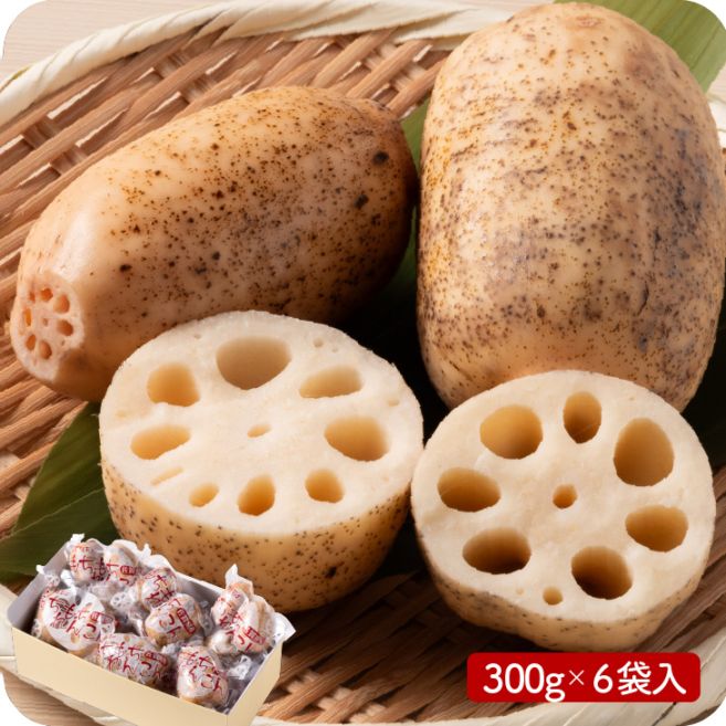 産地直送「もちもちれんこん（フレッシュ）300g × 6P入」九州 お取り寄せ 佐賀 れんこん 送料無料
