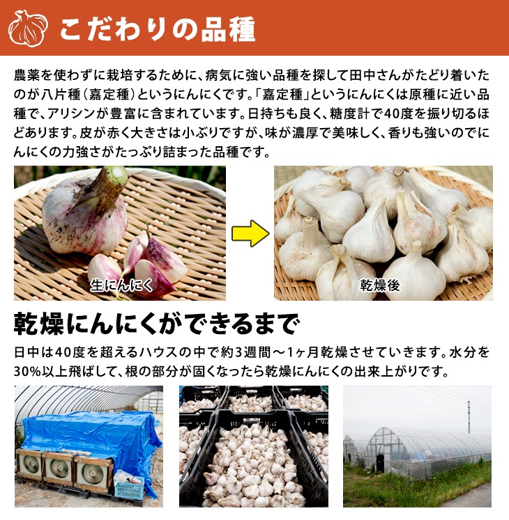 乾燥にんにくサイズ混合800g入り