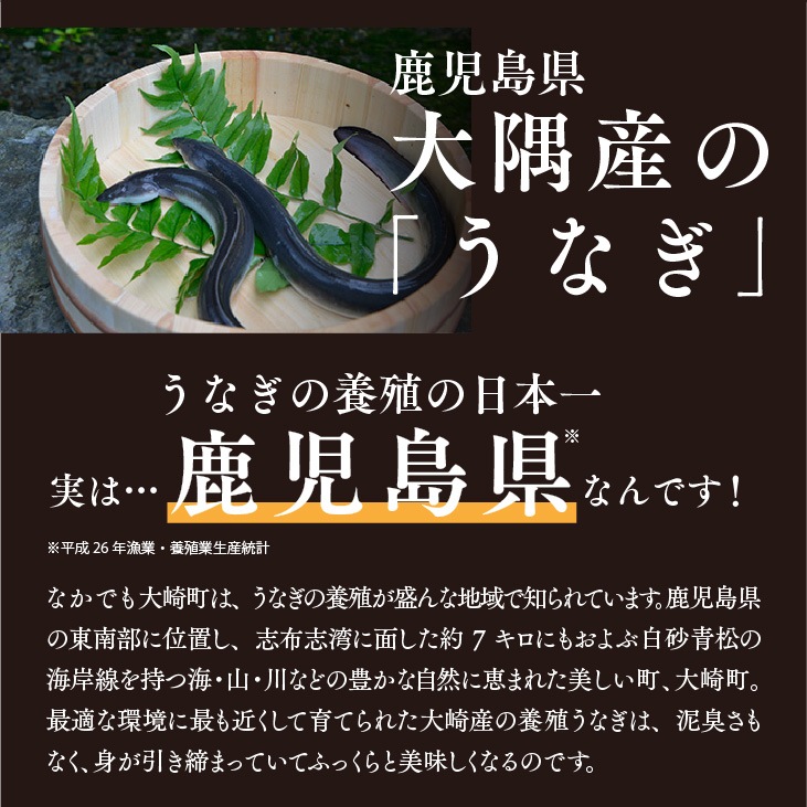鹿児島県産きざみうなぎ蒲焼 60g×10袋】 日本ギフト大賞 お
