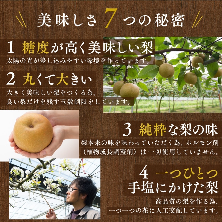 大川三世代の秋月梨 梓2.3kg 伊万里よりお届け