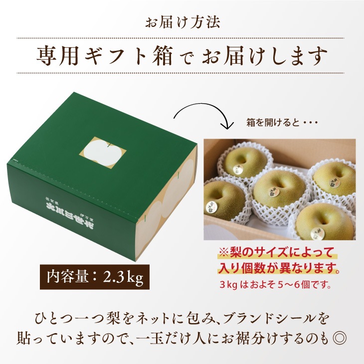 大川三世代の秋月梨 梓2.3kg 伊万里よりお届け