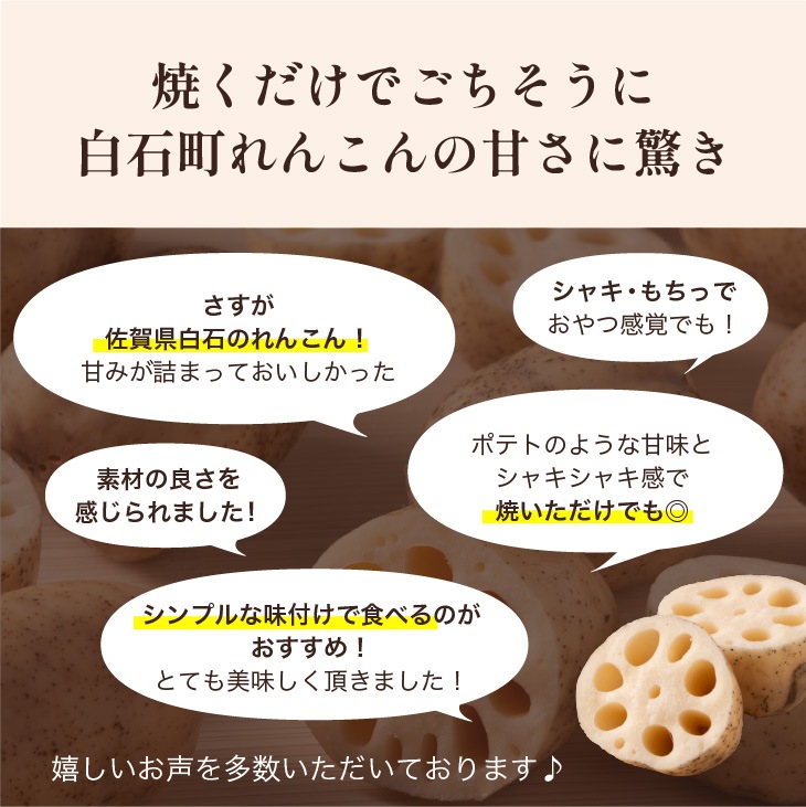 産地直送「もちもちれんこん（フレッシュ）300g × 6P入」九州 お