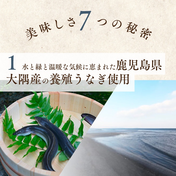 鹿児島県産きざみうなぎ蒲焼 60g×20袋】 日本ギフト大賞 お