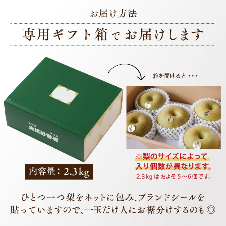 大川三世代の豊水梨 豊作2.3kg 伊万里よりお届け