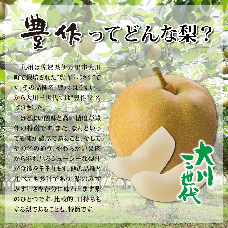 大川三世代の豊水梨 豊作2.3kg 伊万里よりお届け