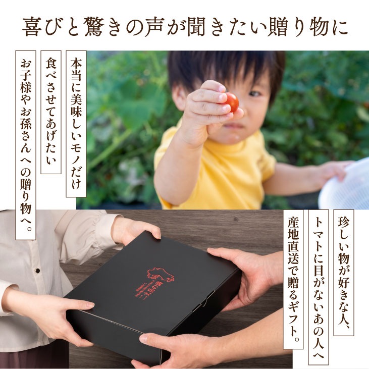 産地直送 「【二丈岳の雫】化粧箱入り 約350g×2 パック入り約700g