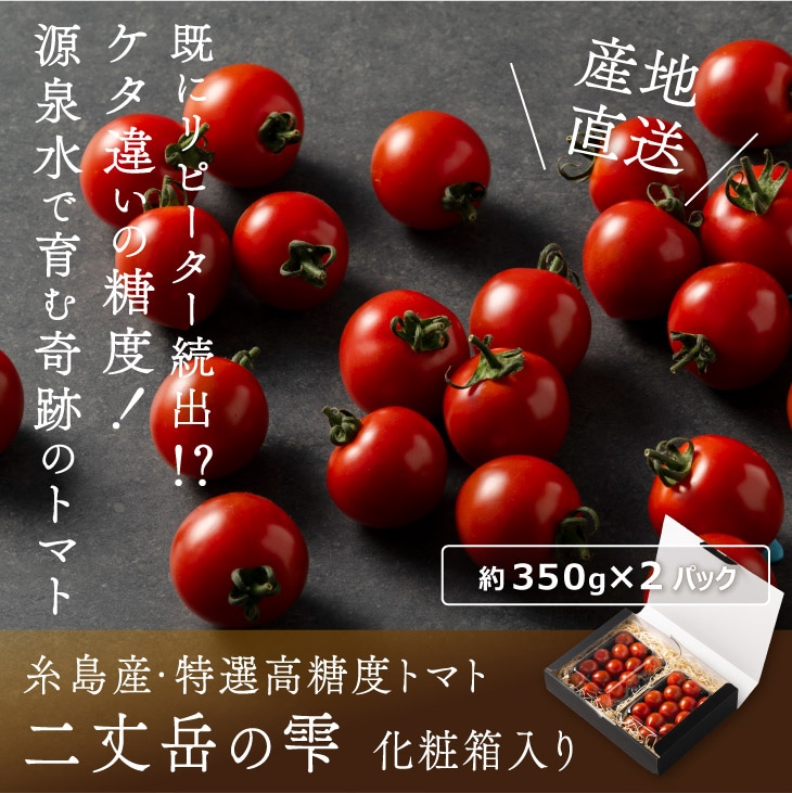 トマト Mr.浅野のけっさくⅡ - 株式会社渡辺採種場｜良いタネは明日への希望