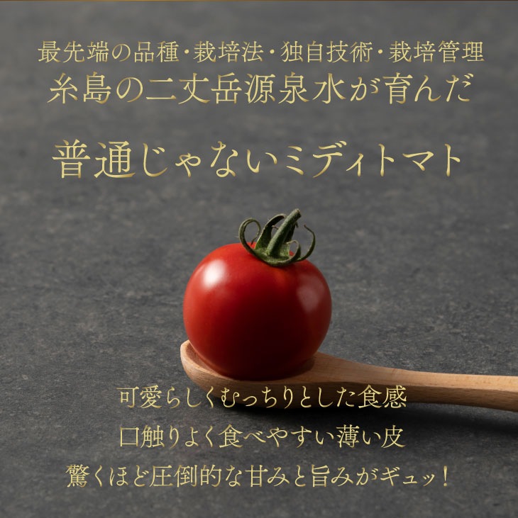 産地直送 「【二丈岳の雫】化粧箱入り 約350g×2 パック入り約700g