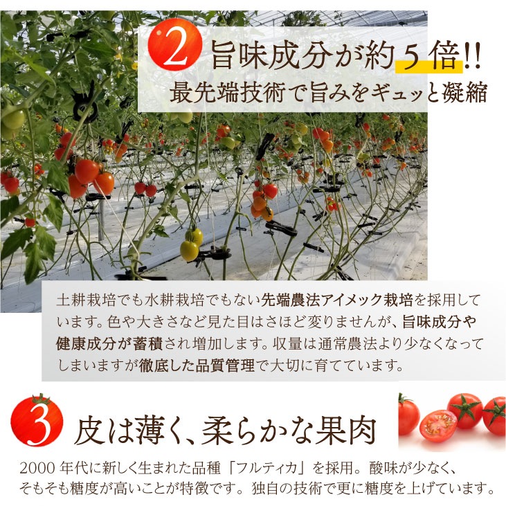 【Ｙ】高糖度訳ありフルーツトマト4.3kg【600g増量中】✖️3箱 Y様専用 高糖度訳ありフルーツトマト4.3kg✖️3【600g増量中】