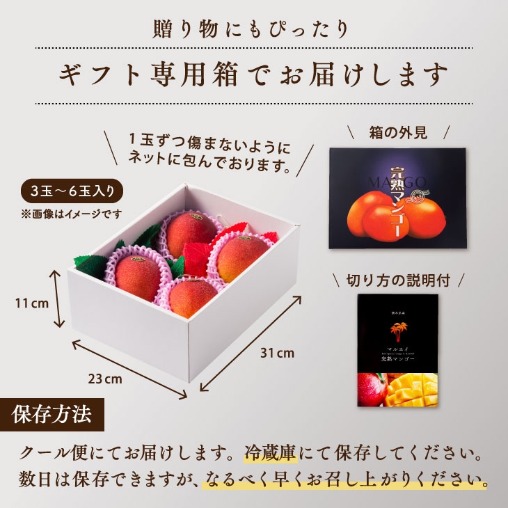 7月上旬から順次発送】極上完熟マンゴー 2Lサイズ×4玉入 農家直送