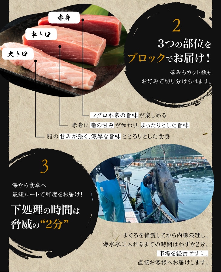 即決】業務用養殖本鮪（スペイン産）天身 850g☆ 即決業務用養殖