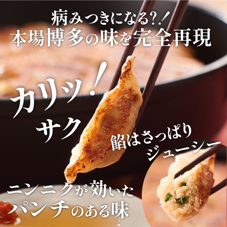 産地直送 「うまか堂本舗の本格博多鉄なべ餃子セット」九州 お取り寄せ