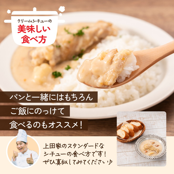 産地直送「上田アニのクリームシチュー 5個セット」熊本 地鶏