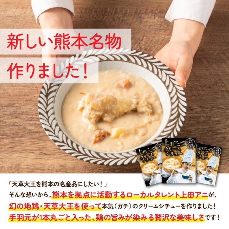 産地直送「上田アニのクリームシチュー 5個セット」熊本 地鶏 手羽元