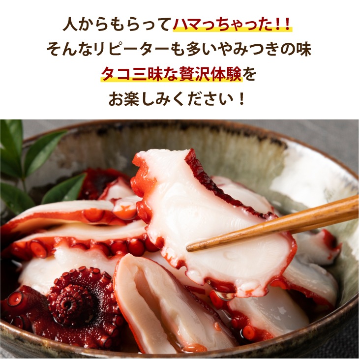 産地直送 【まるごと味付タコ 2杯 計約800g】 九州 お取り寄せ 手土産